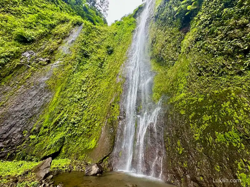 A tall waterfall surrounded by lush rainforest.