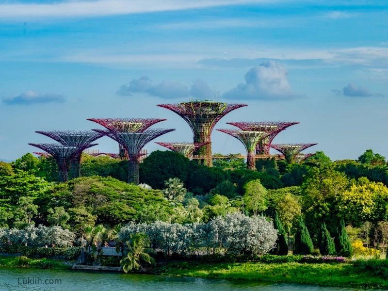 Futuristic sculptures surrounded by lush trees.