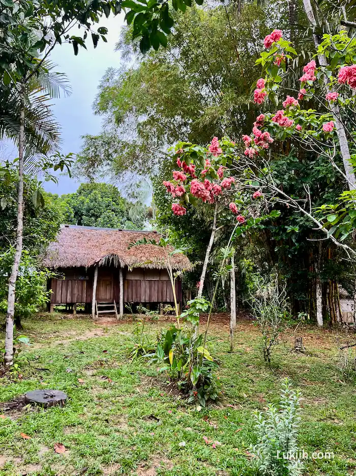 A hut lodge in a jungle with flowers and lush trees.