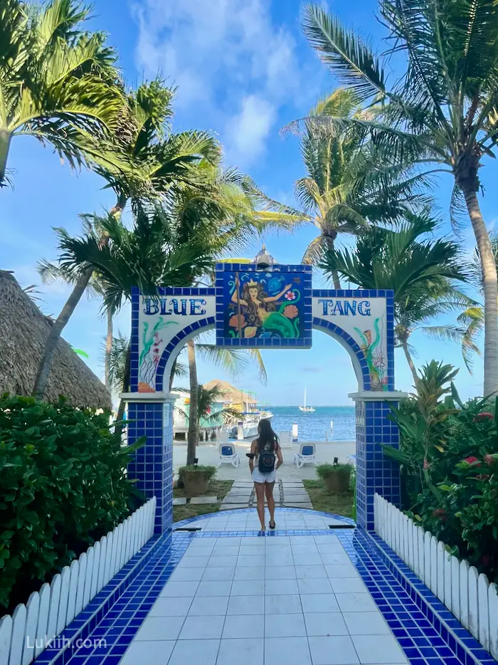 A woman walking under a gate that says Blue Tang surrounded by palm trees.