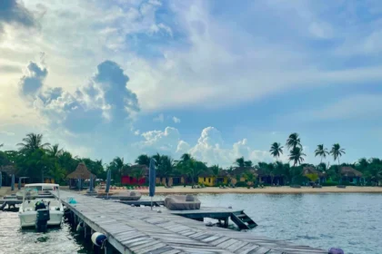 A swimming dock in a blue ocean with palm trees.