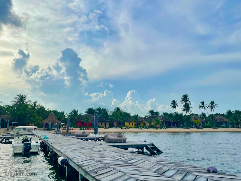 A swimming dock in a blue ocean with palm trees.