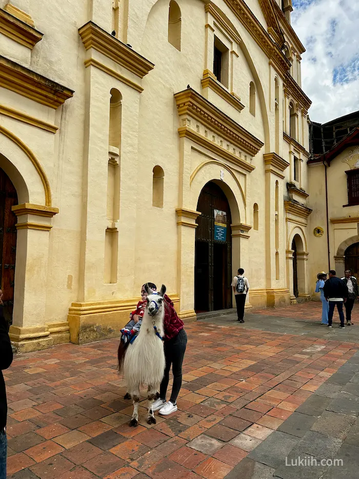 An alpaca standing outside of a yellow, old building.