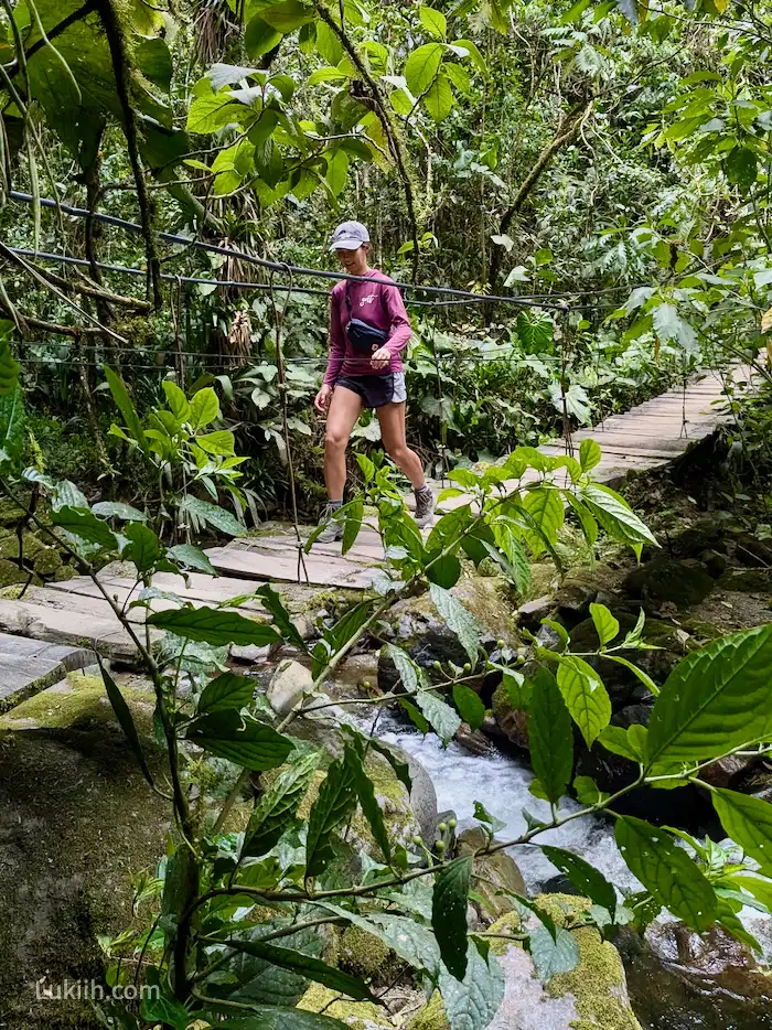 A hiker walking on a wooden bridge over a small river.