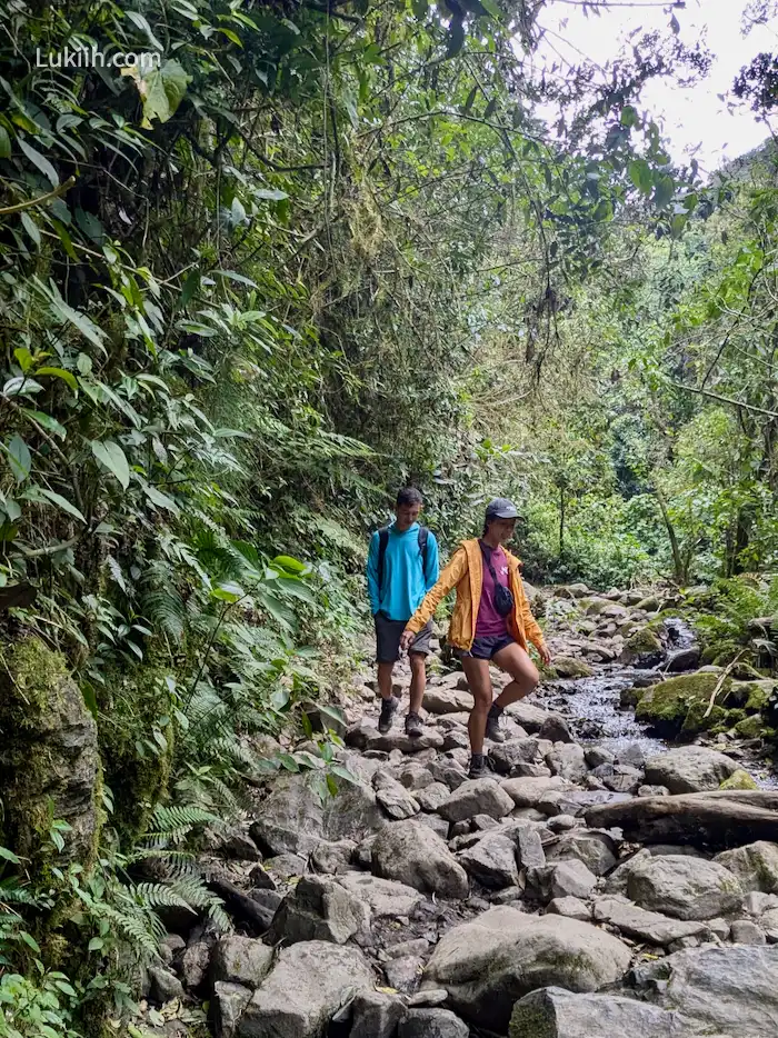 Two hikers walking on a rocky terrain in the rainforest.