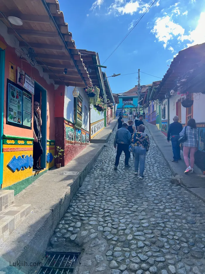 A pedestrian-friendly cobblestone street with colorful buildings.