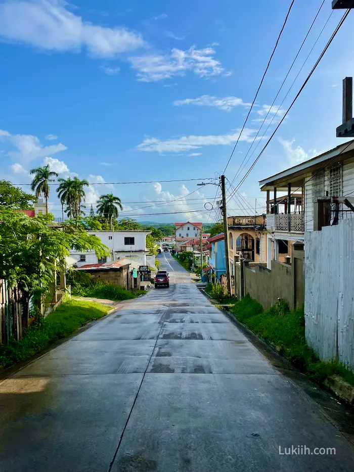 A road in a tropical environment.