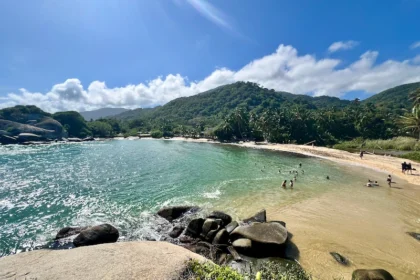 A high-up view of a beach surrounded by lush trees.