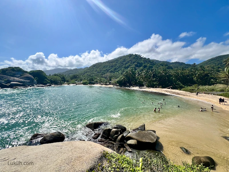 A high-up view of a beach surrounded by lush trees.